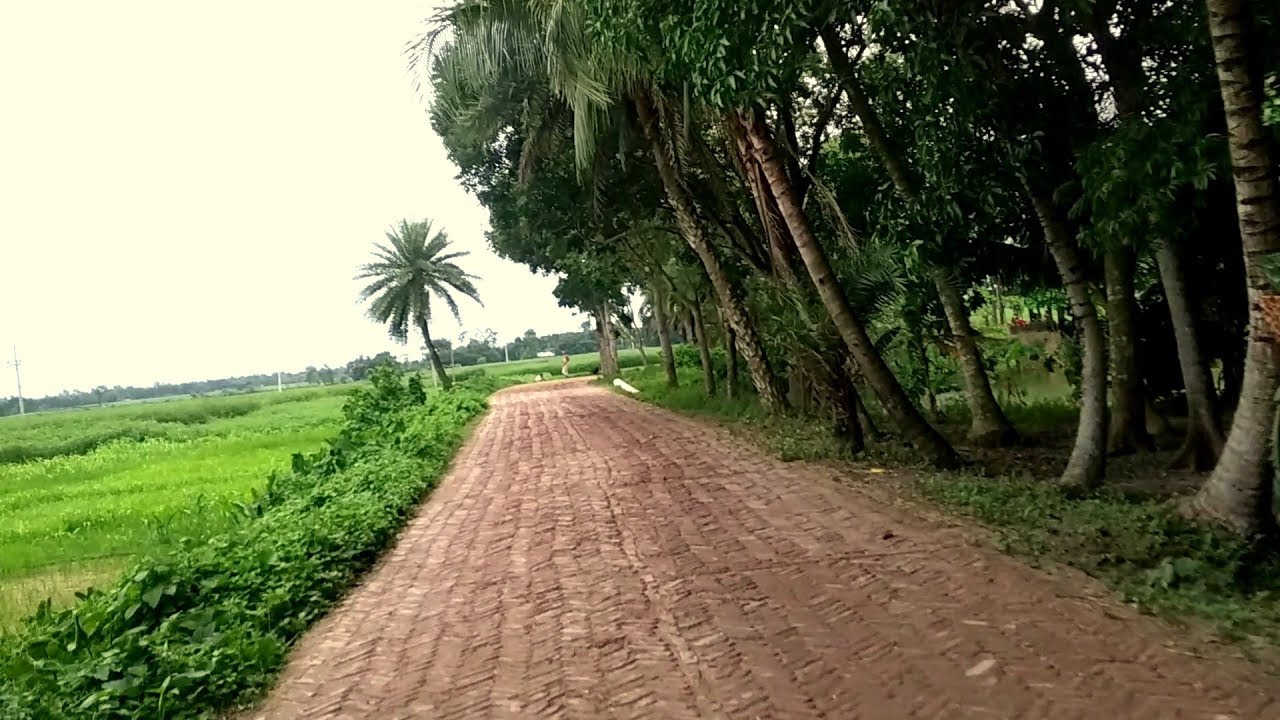 Riding Motorcycle on Brick Road