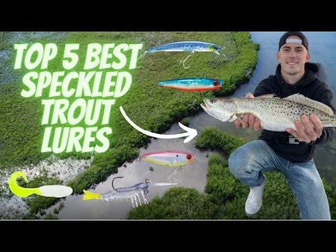 Top 5 Best Lures To Catch BIG Speckled Trout + STRAPINNO Marine Ratchet  Straps Review (MUST HAVE) 