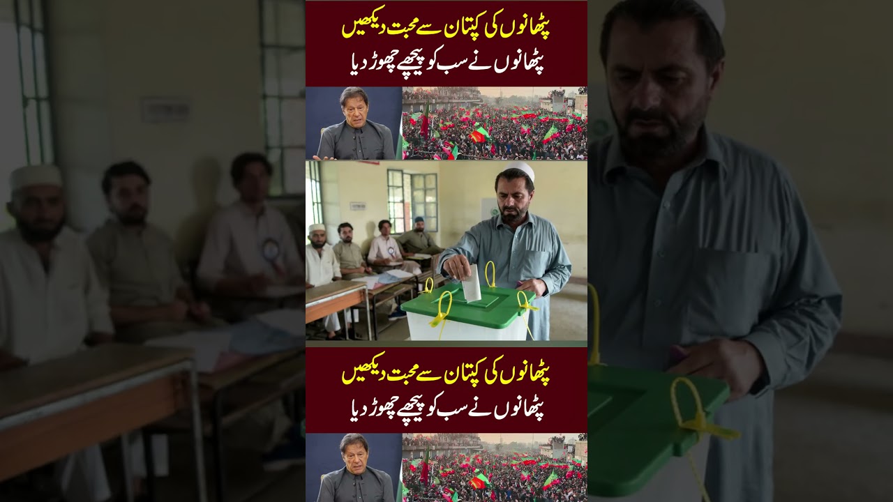Imran khan pti Wins Elections 2024 from kpk 