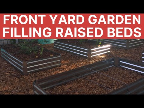 filling-raised-beds-affordably-without-cutting-corners-|-gardening-101