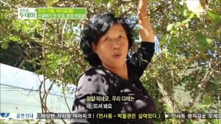 생방송 투데이 131008 #9(8)
