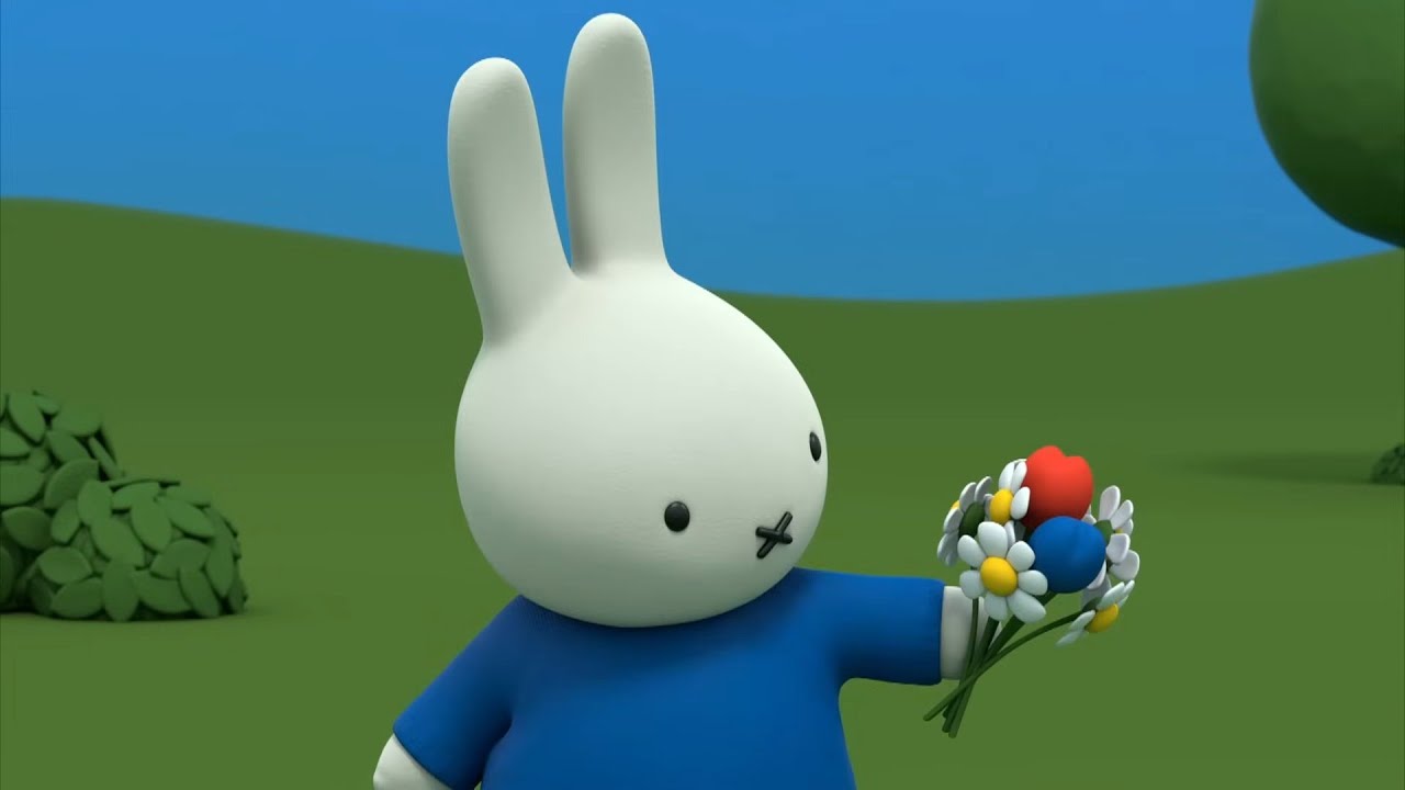 Miffy picks out a bouquet of flowers | Miffy | Cartoons for kids