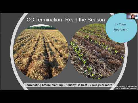 D1_S6 Herbicide/Cover Crop Training: Cover Crop Termination Strategies and NRCS Guidance