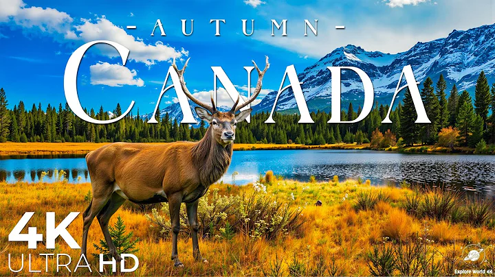 Autumn in Canada 4K 🍁 Maple Forests, Rocky Mountains, Serene Lakes draped in Fall Splendor