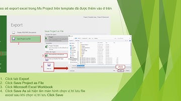 Export Excel Theo Mẫu Trong Ms Project