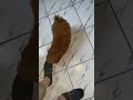 Beware of dog!!
