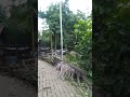 waw ngeriii jembatannya dah miring