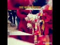 जय हो बाबा बौखनाग की........