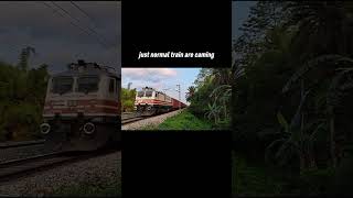 WAP-5 Hauling Goods Train 😱🔥 Rare Power Show!#goods #train #trainandrailyardsimulatornewupdate