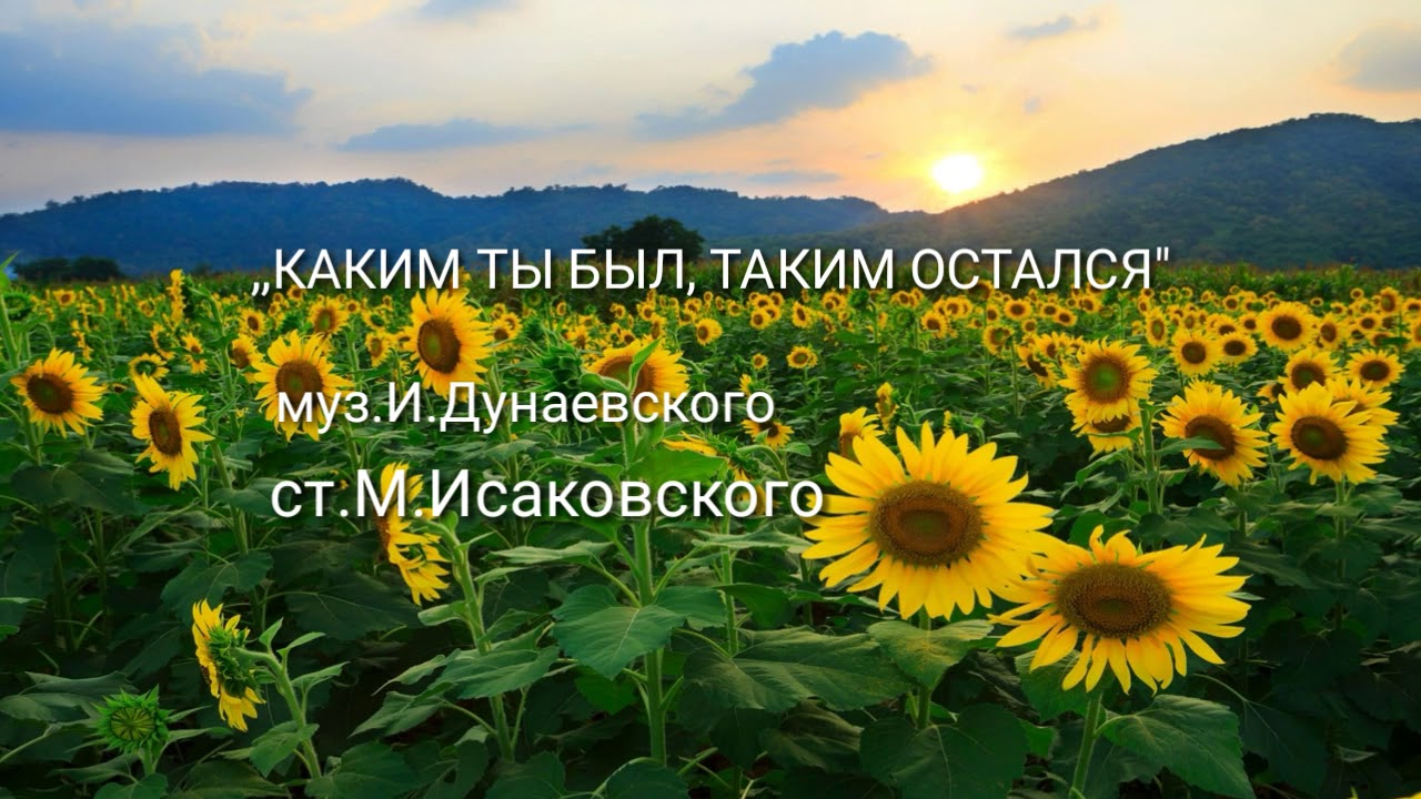 Каким ты был таким остался открытка, открыток