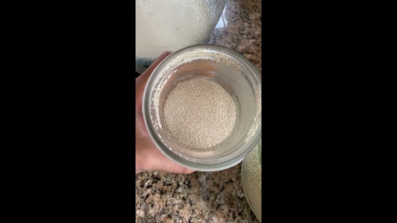 Which Type Of Yeast Is Best For Bread Baking Part 2 