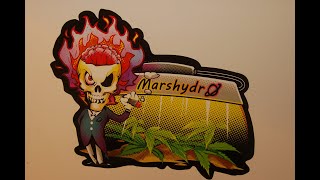 Mars SP 3000 With more flower power