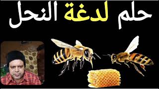 تفسير حلم ملكة النحل في الحلم: رسالة من الروحانية والدلالات العميقة ملكة النحل في المنام