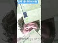 हाथी और पैसे  घमंड #funny #lifeisbutadream #funnycartoon #comedy #whowillbemylifepartnerta
