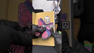 「補習」→「捕囚」絶対にサボってはいけない理由