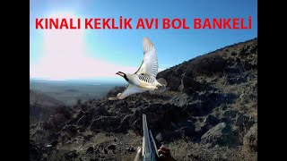 Yeni̇ Kekli̇k Avi Bol Manke İçeri̇r Partridge Hunt Охота На Куропатку مطاردة الحجل Rebhuhnjagd