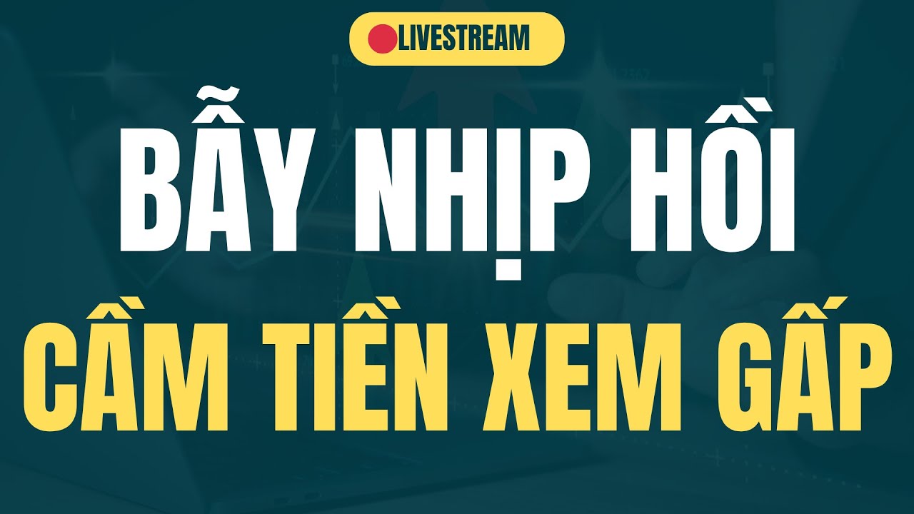 BẪY NHỊP HỒI CẦM TIỀN XEM GẤP  | NHẬN ĐỊNH CHỨNG KHOÁN | BÌNH TRẦN STOCK