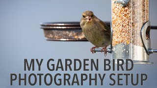 My Garden Bird Photography Setup