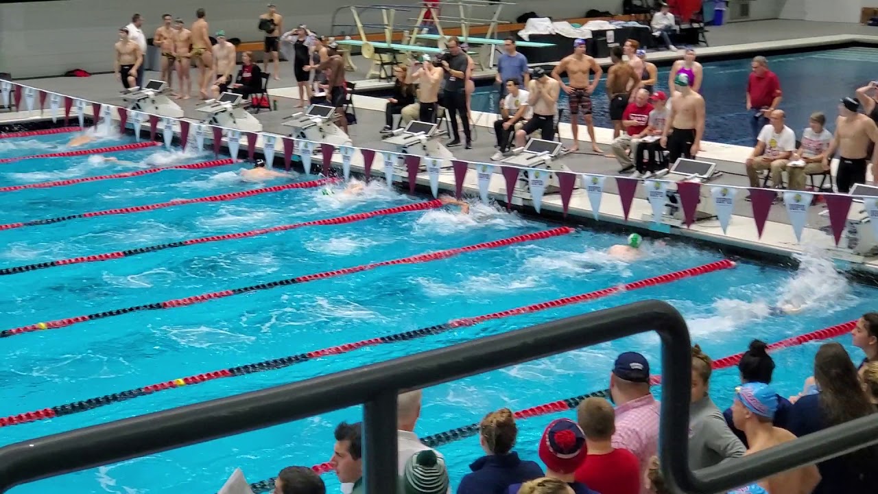 100 Fly Finals 2019 House Of Champs Youtube 