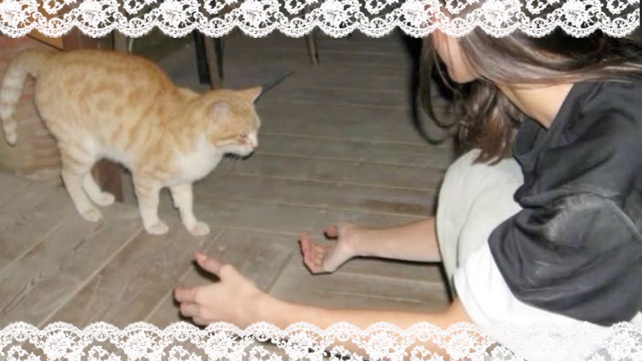 𝓒uptoast Voice !!