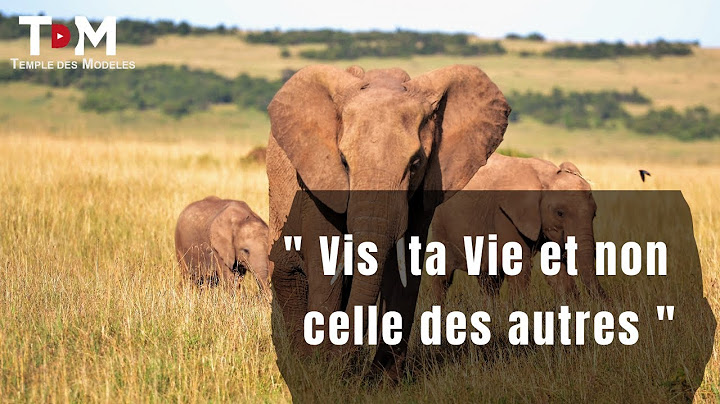 Une Histoire INSPIRANTE, une vraie leçon de VIE.