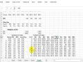 0015 Financial Statement Sensitivity Analysis and Two Input Table