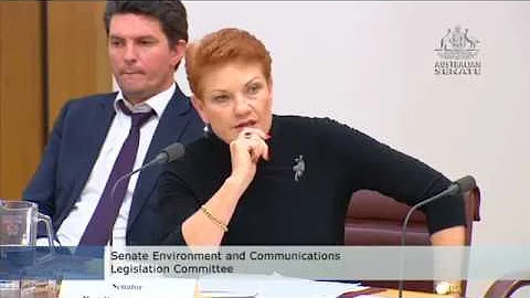 Estimates - Scott Ludlam and Pauline Hanson clash