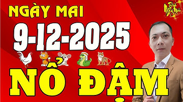 Tử Vi Ngày Mới 9/12/2025 Chấn Động Lời Tiên Tri Chính Xác, Con Giáp Bất Ngờ Trúng Số Đổi Đời Giàu To