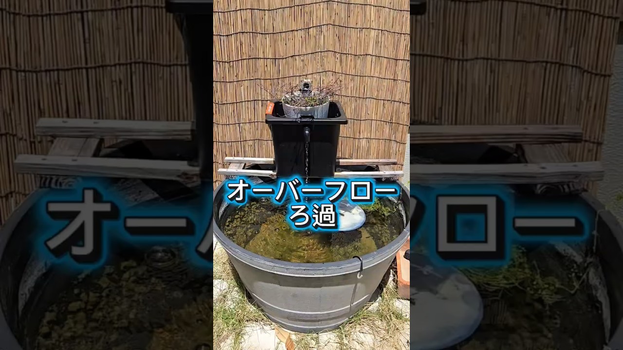 自然ろ過