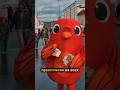 Как прошёл День города в Кирове? #вятка #деньгорода2025 #киров