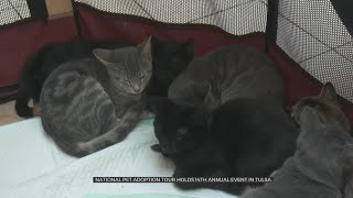 National Pet Adoption Tour Holds 14th Annual Event In Tulsa