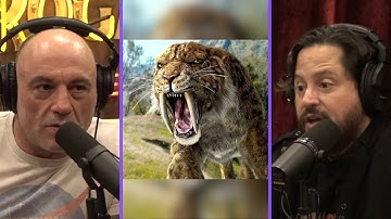 Animals That Roamed North America 10,000 Years Ago - Joe Rogan & Ben Lamm