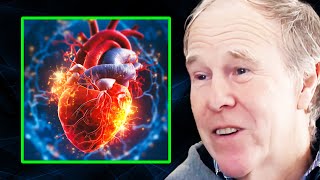 Saturated Fat DOESNT Cause Heart Disease, the Real Offender Is THIS | Prof. Tim Noakes