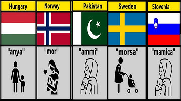 Child Call Mother From Different Countries || Data Comparison ||