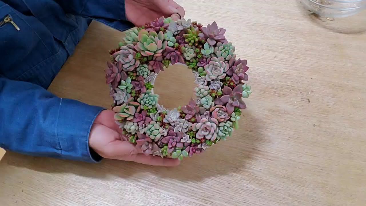 多肉植物 100均アイテムで多肉リース作り 初めてベラボンを使ってみた Youtube