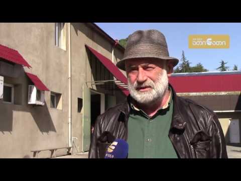 გადაცემა \"ევროპერსპექტივა\" - თხილის გზა ევროპისკენ