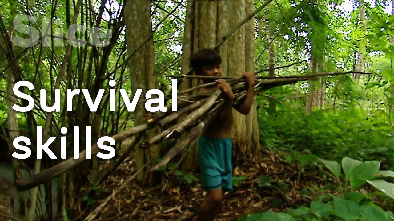 Documentary backdrop image for Vietnamese forest experts (2022)