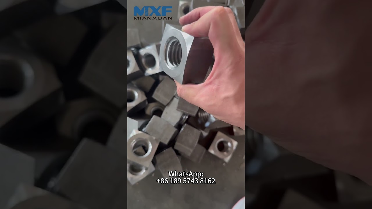 Special nuts from Ningbo Mianxuan  