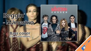 Beggin' - Måneskin || Bass Cover