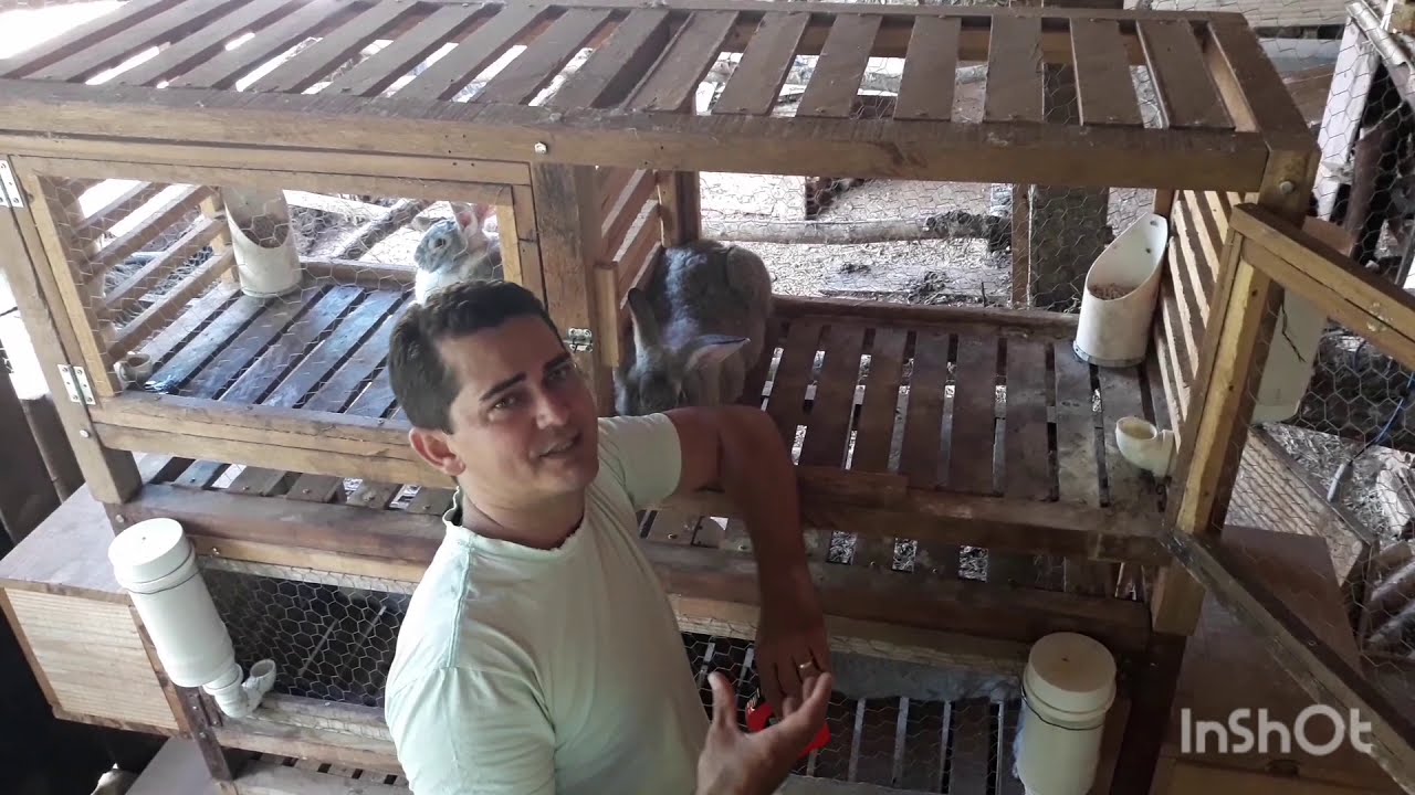 como fazer gaiolas para criação de coelho? Ou viveiro para criação de coelho