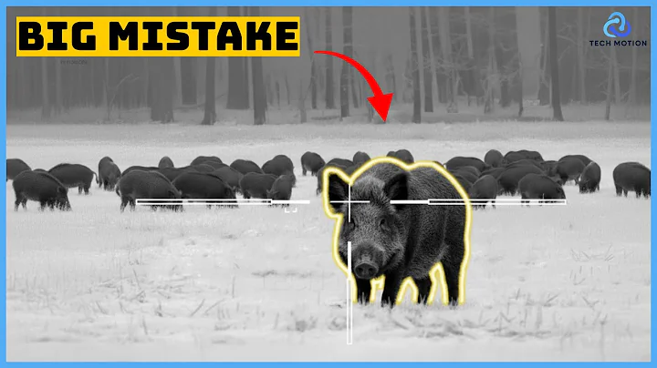 Wild Boar Hunting: Millions of Hogs Attack Texas Corn Fields - How Farmer Fight Back