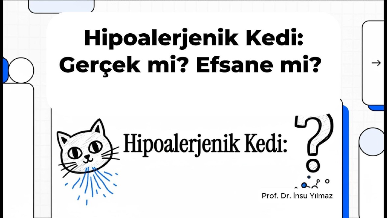 Hipoalerjenik KediGerçek mi? Efsane mi?