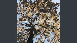 Самое лучшее время - Парк Секвойя