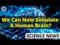 We Can Now Simulate a Human Brain, Scientists Show