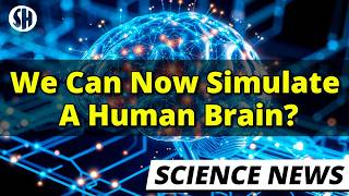 Simulating A Human Brain Is Suddenly Within Reach