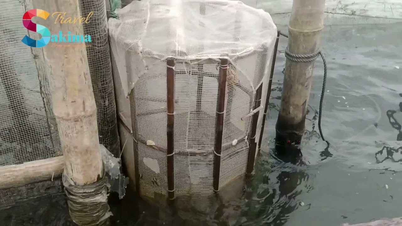 Hue Imperial city Tailor-made tours and ready-made packages. Very good quality, and upwards....