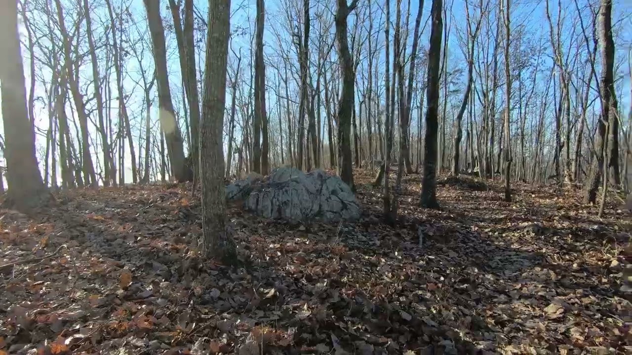 Uwharrie National Forest "Jumping Off Rock Trail"