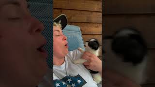 Puppy Reacts Hilariously to Blowing Air