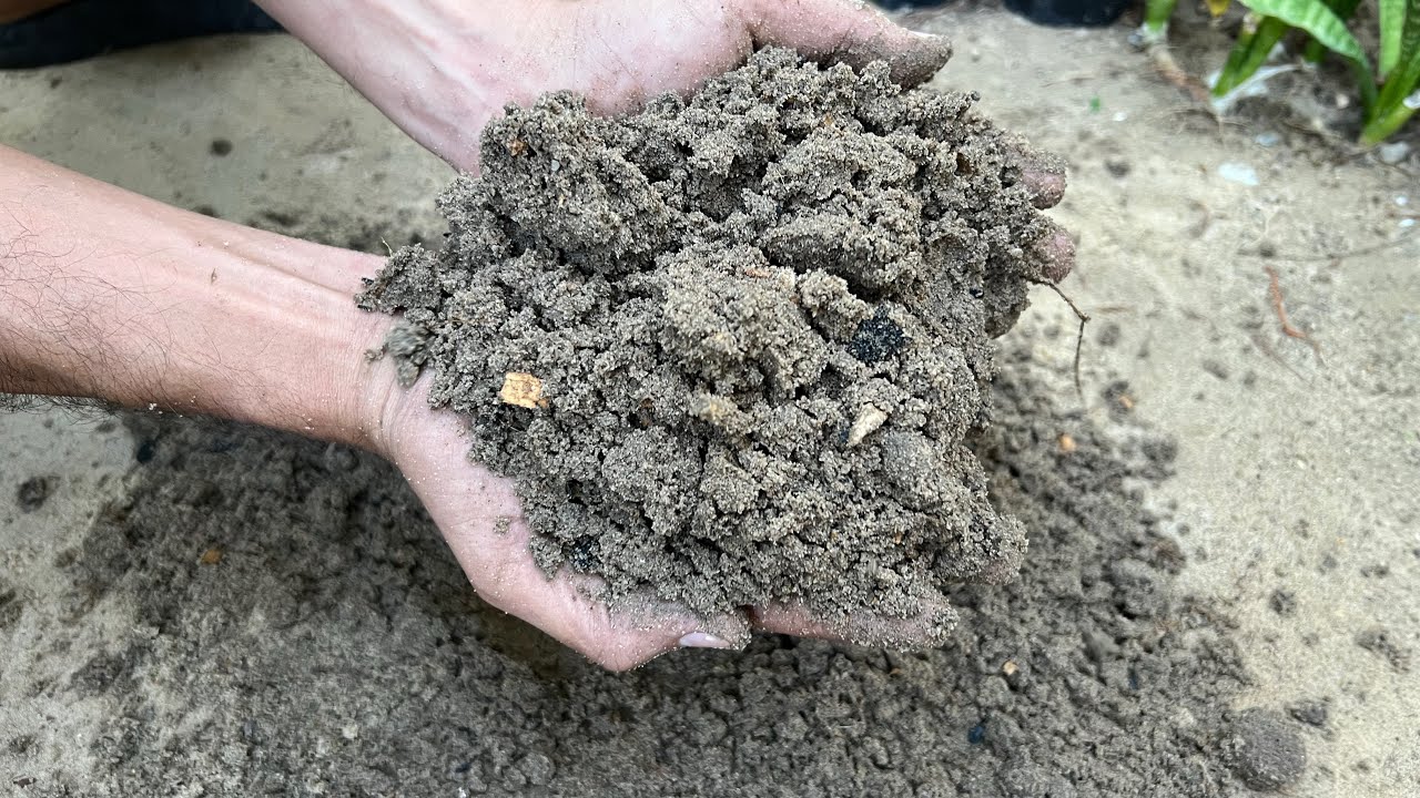 أفضل تربة زراعية استخدمتها بعد سنين طويلة من التجارب سوف تجعل نباتاتك وأشجارك بأحسن حال🌿👌جربوها