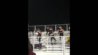 McD 35 Eaglettes 2012-2013